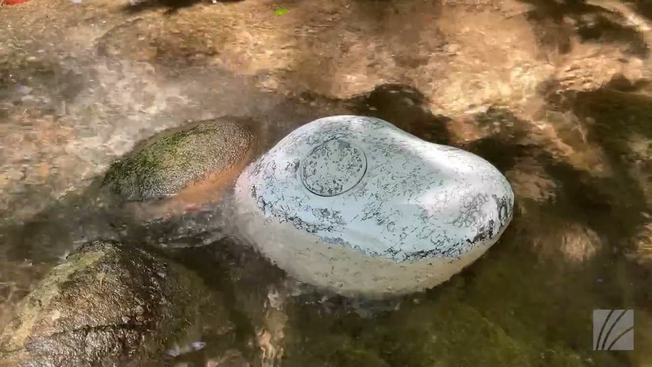 Im Kreislauf der Natur: Unsere Wasserurne